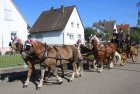 Leonhardiritt 2016<br><small>Rolf Steichele</small>